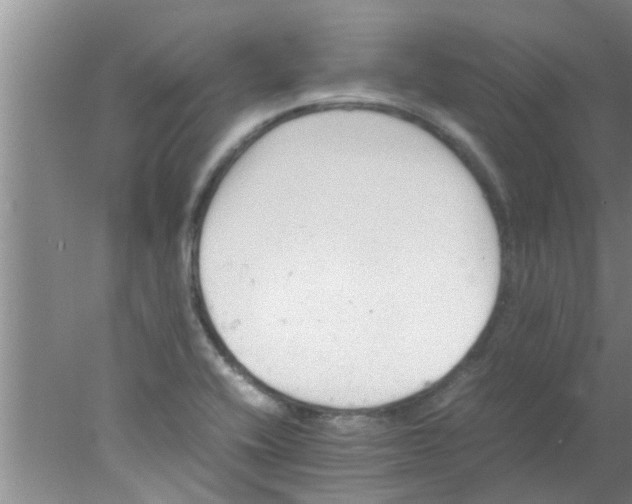 X0000078021416200611171901