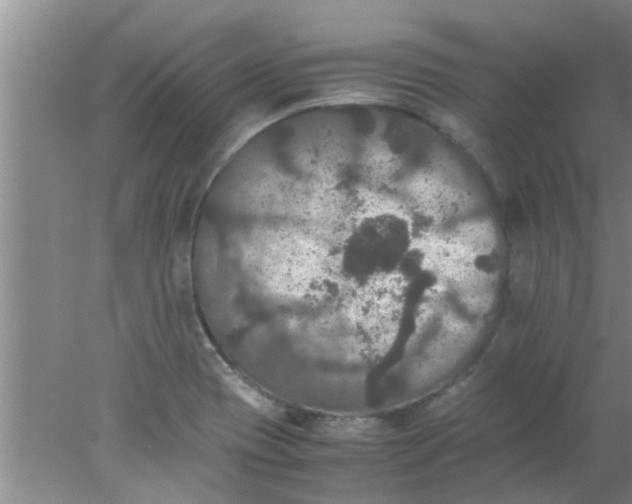 X0000078021417200611171901