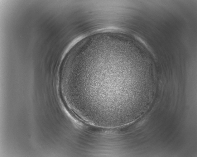 X0000078021418200611171901