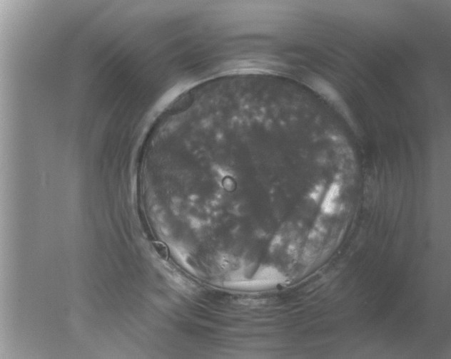 X0000078021419200611171901