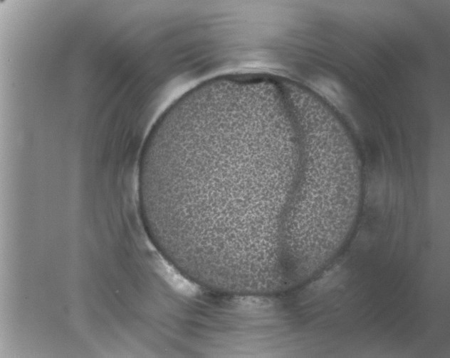 X0000078021420200611171901