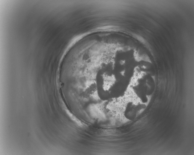 X0000078021421200611171901