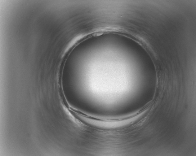 X0000078021422200611171901