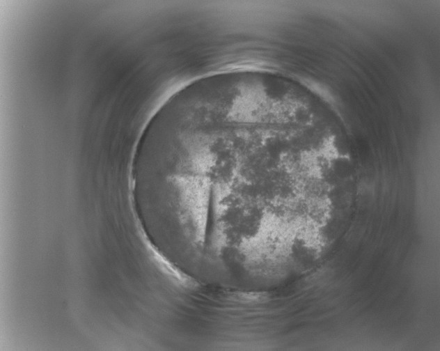 X0000078021423200611171901