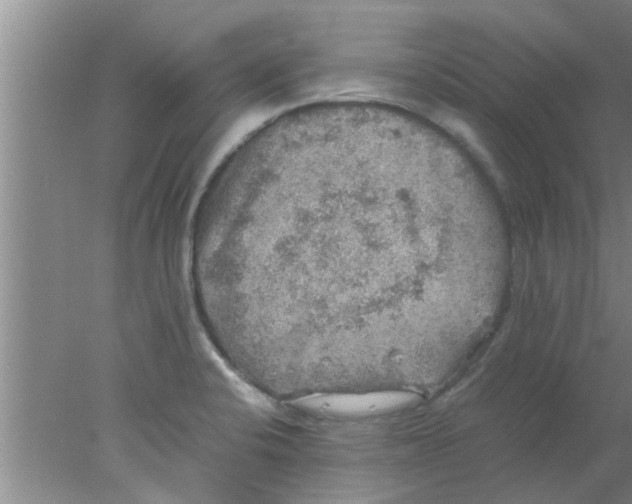 X0000078021424200611171901