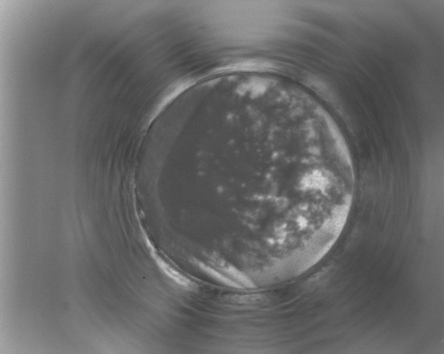 X0000078021425200611171901