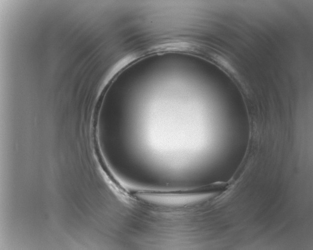 X0000078021426200611171901