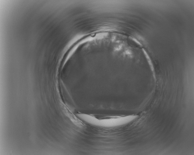 X0000078021427200611171901