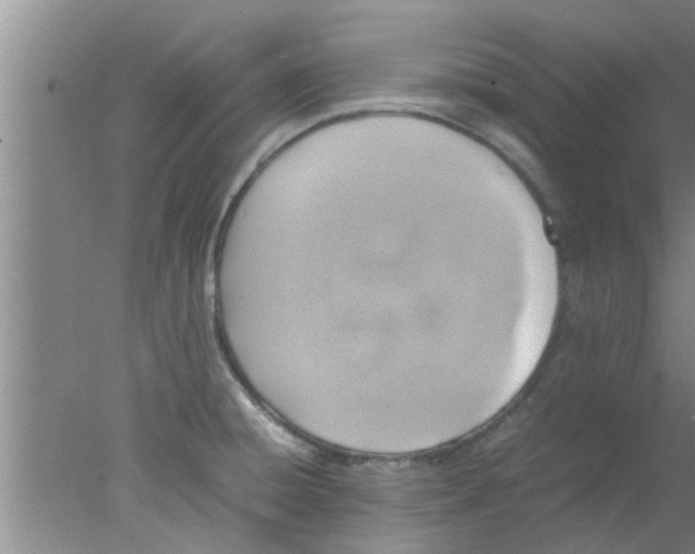 X0000078021428200611171901