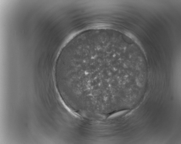 X0000078021429200611171901