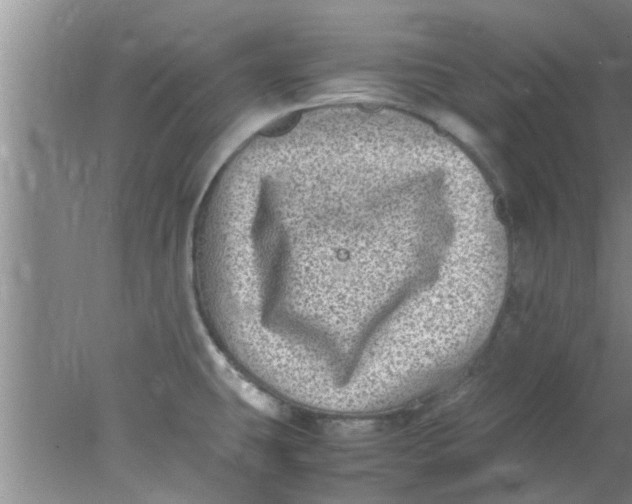 X0000078021431200611171901