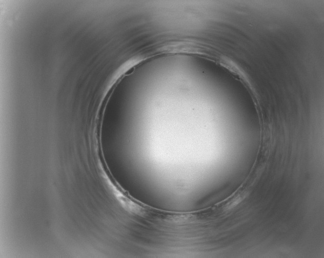 X0000078021434200611171901