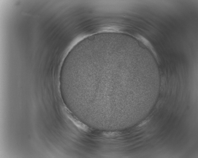 X0000078021435200611171901