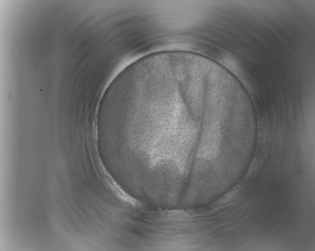 X0000078021436200611171901