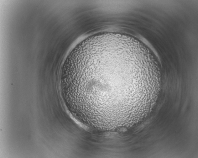 X0000078021437200611171901