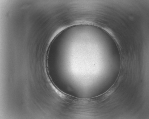 X0000078021438200611171901