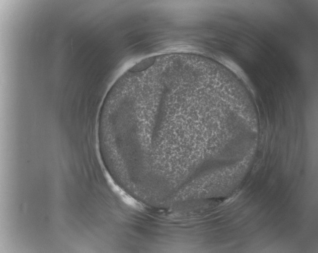 X0000078021439200611171901