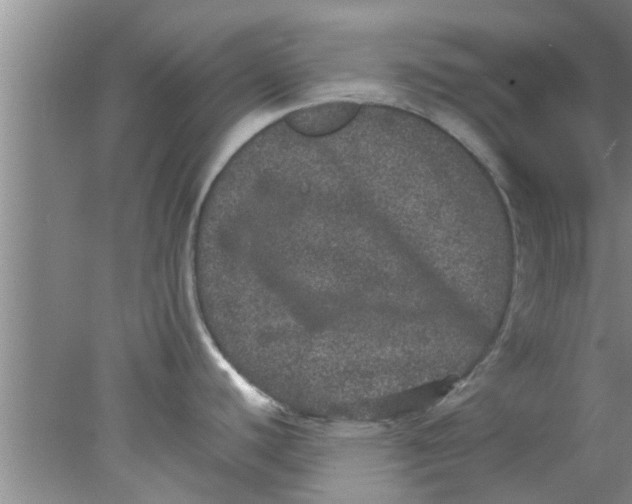 X0000078021440200611171901