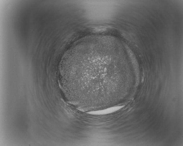 X0000078021441200611171901