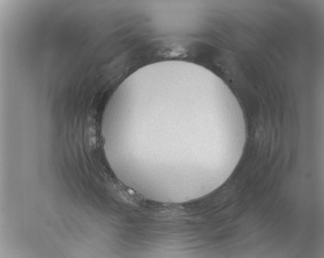 X0000078021442200611171900