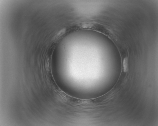 X0000078021443200611171900