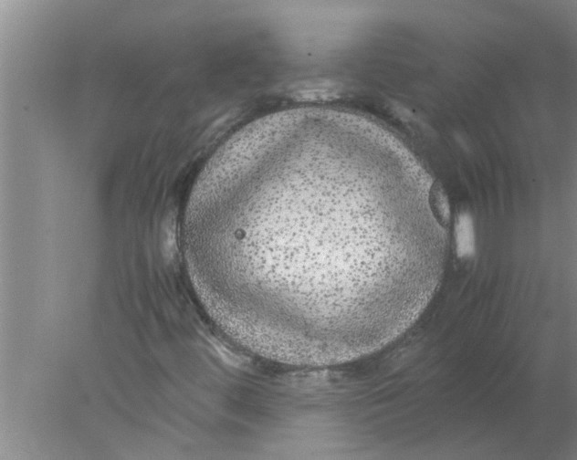 X0000078021444200611171900