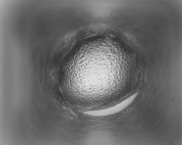 X0000078021445200611171900