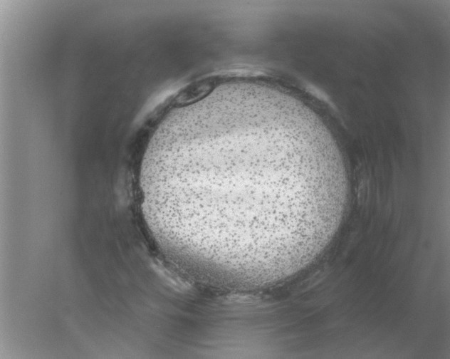 X0000078021448200611171900