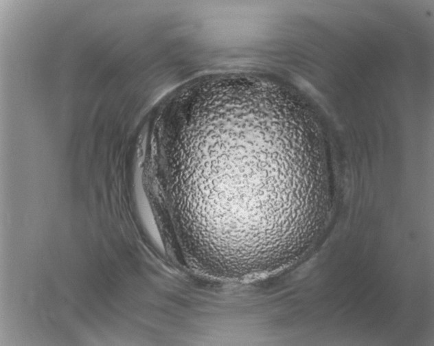 X0000078021449200611171900