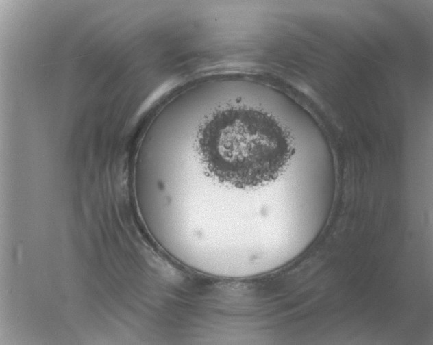 X0000078021450200611171900