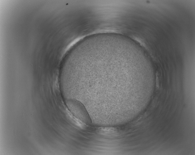 X0000078021452200611171900