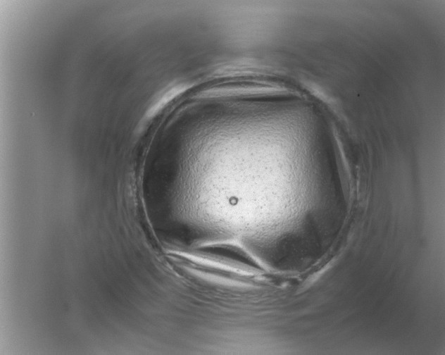 X0000078021453200611171900