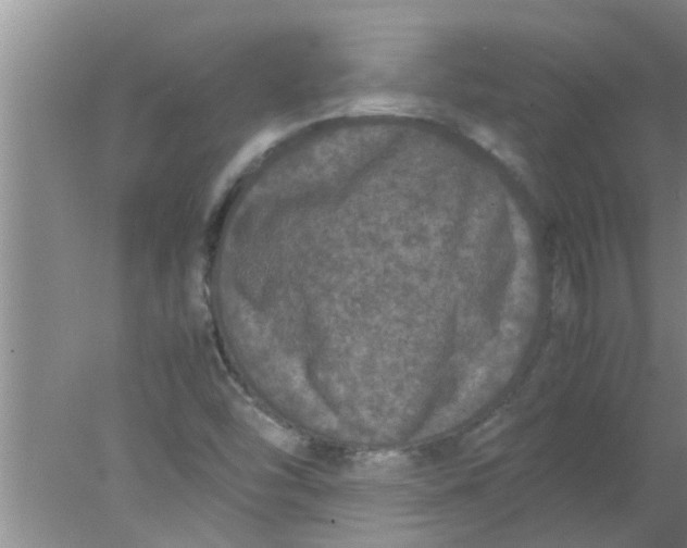 X0000078021454200611171900