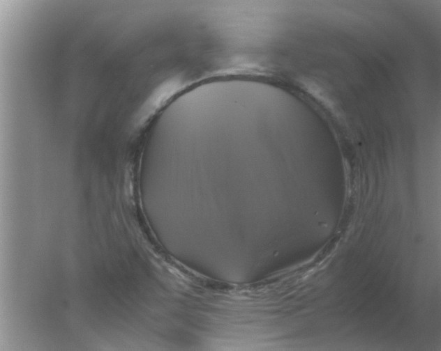 X0000078021455200611171900