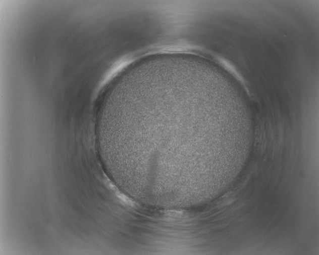 X0000078021456200611171900