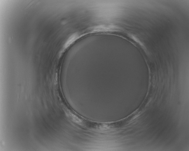 X0000078021459200611171900