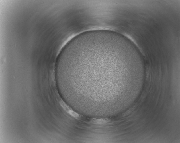 X0000078021460200611171900