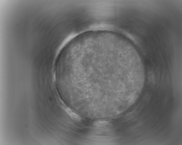 X0000078021462200611171900