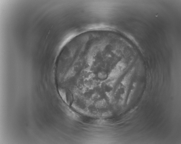 X0000078021463200611171900