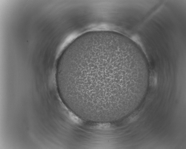 X0000078021464200611171900