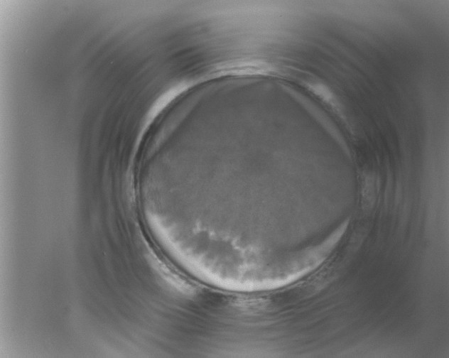 X0000078021466200611171900