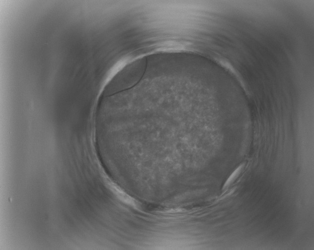 X0000078021467200611171900