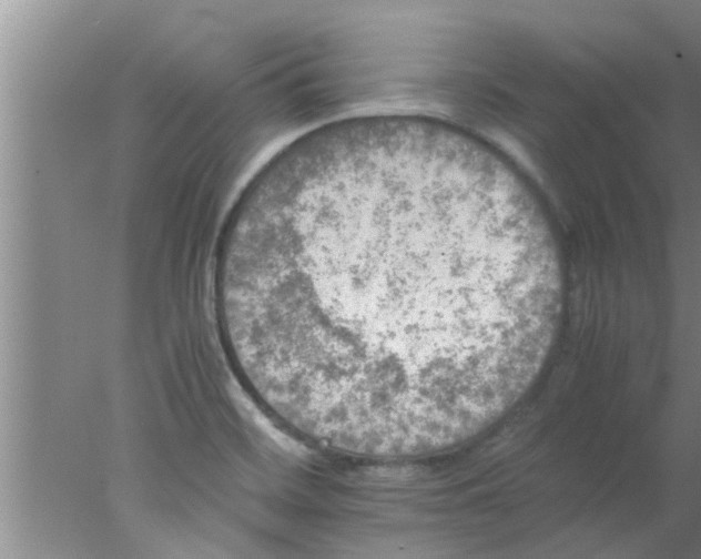 X0000078021468200611171900