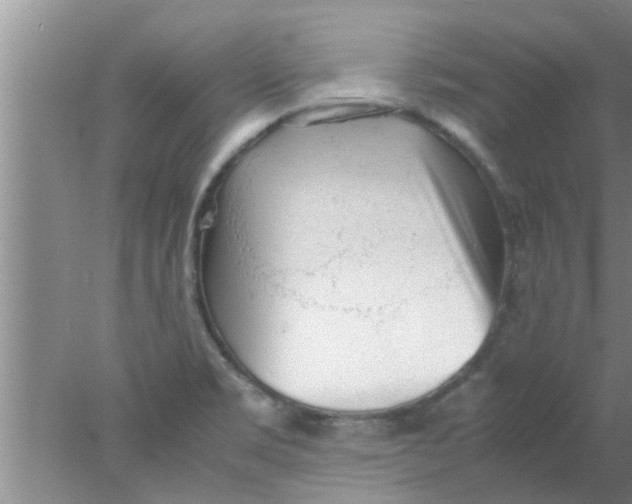 X0000078021469200611171900