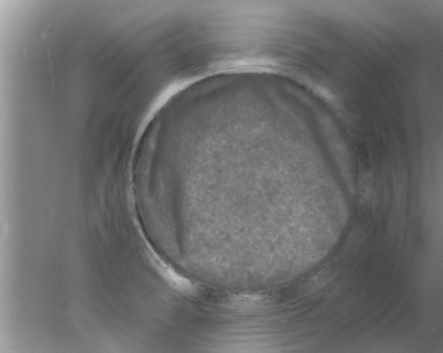 X0000078021470200611171900