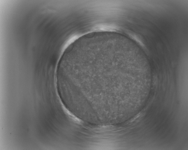 X0000078021471200611171900