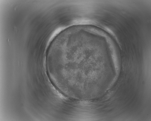 X0000078021472200611171900