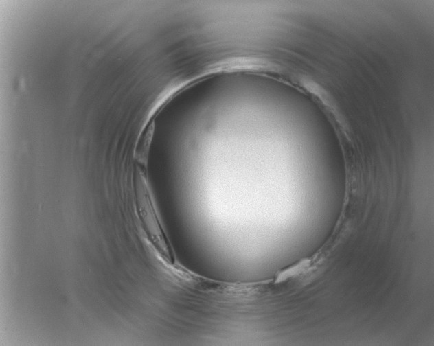 X0000078021473200611171900