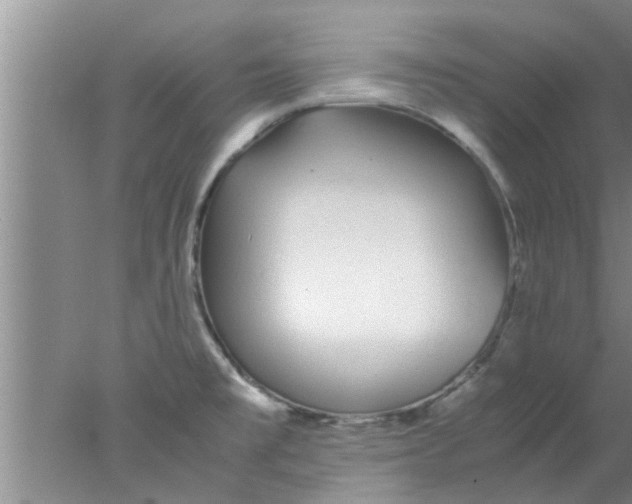 X0000078021477200611171900