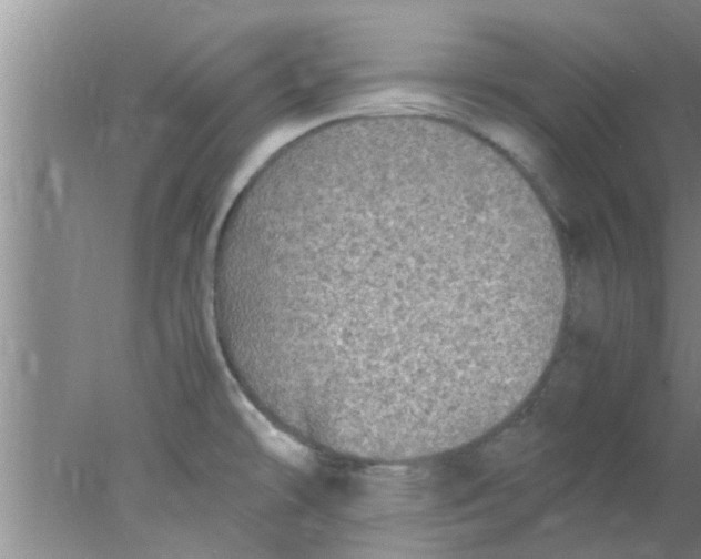 X0000078021478200611171900